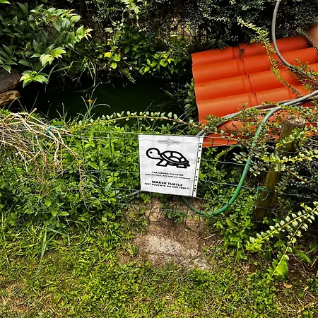 Casa Della Nonna *