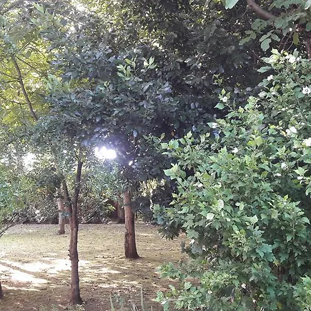 Casa Della Nonna