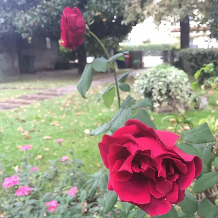 Apartman Casa Della Nonna