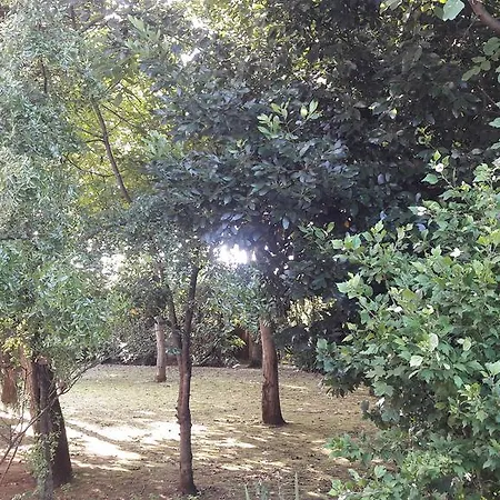 Apartmán Casa Della Nonna *