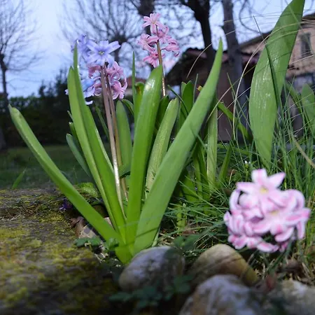Casa Della Nonna Apartmán Noventa di Piave