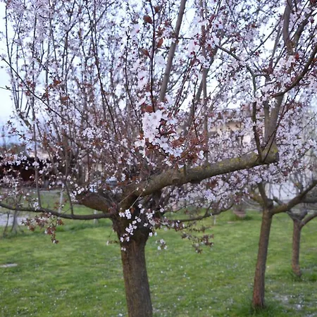 Apartmán Casa Della Nonna Noventa di Piave